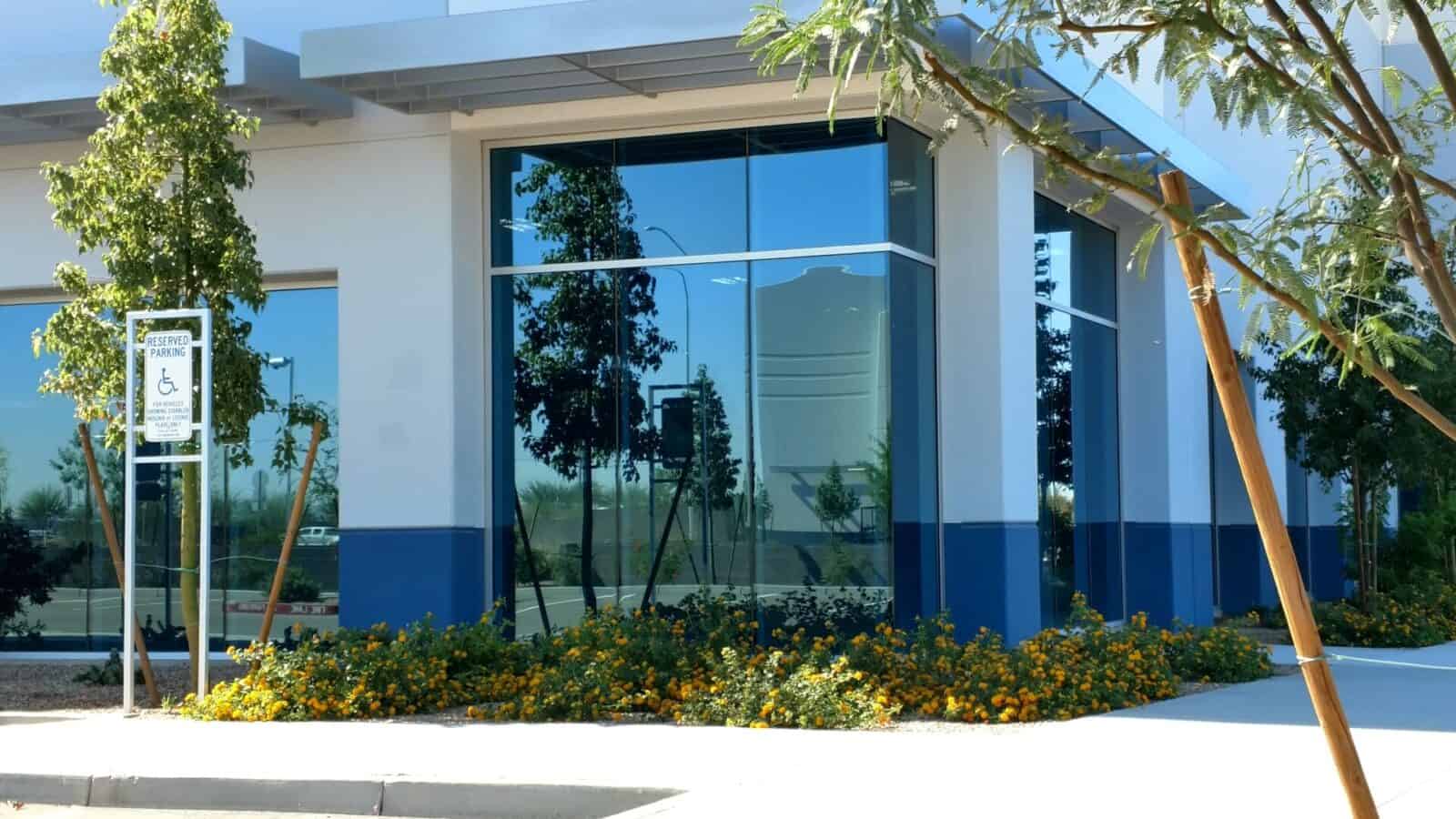 Modern commercial building facade with large reflective windows, blue trim, and surrounded by landscaped garden with yellow flowers and green trees.